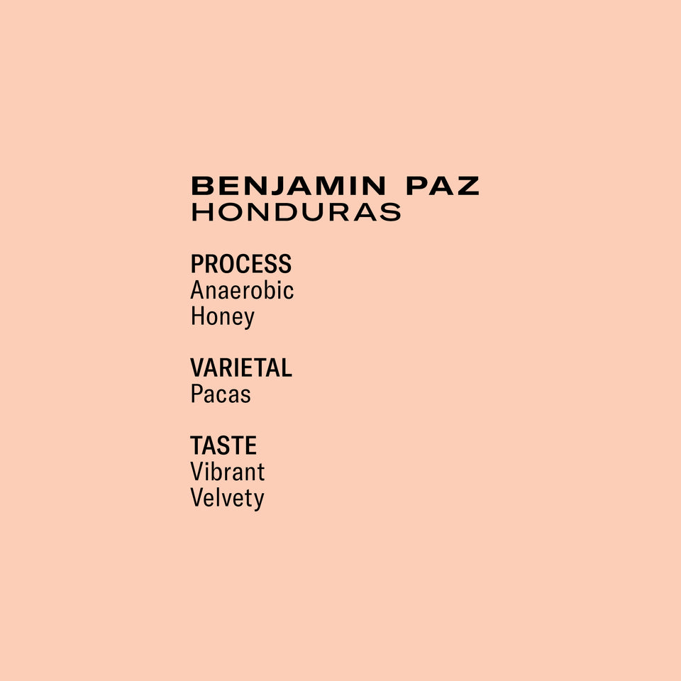 Benjamin Paz Honey