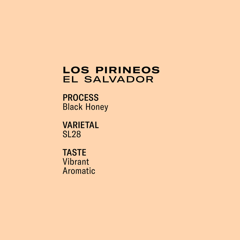 Los Pirineos SL28