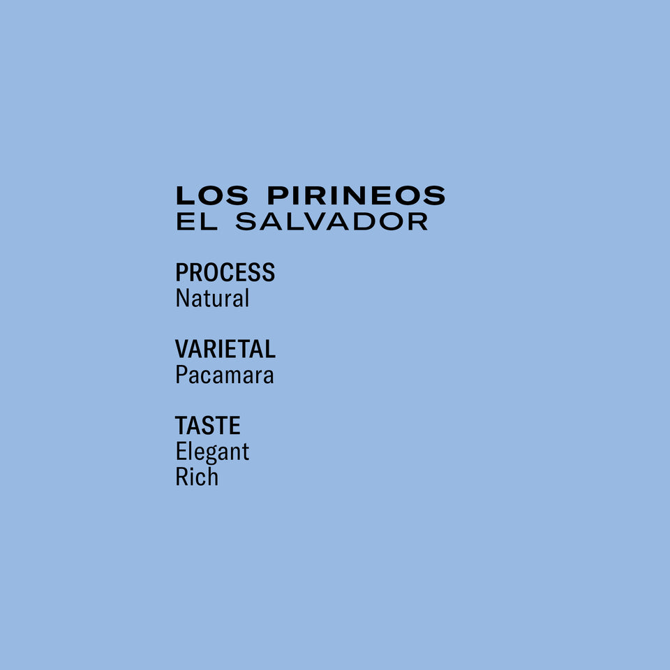 Los Pirineos Pacamara