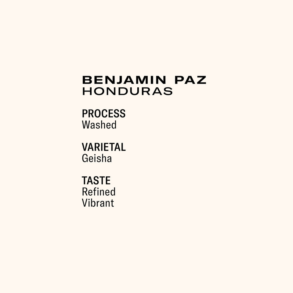 Benjamin Paz La Salsa