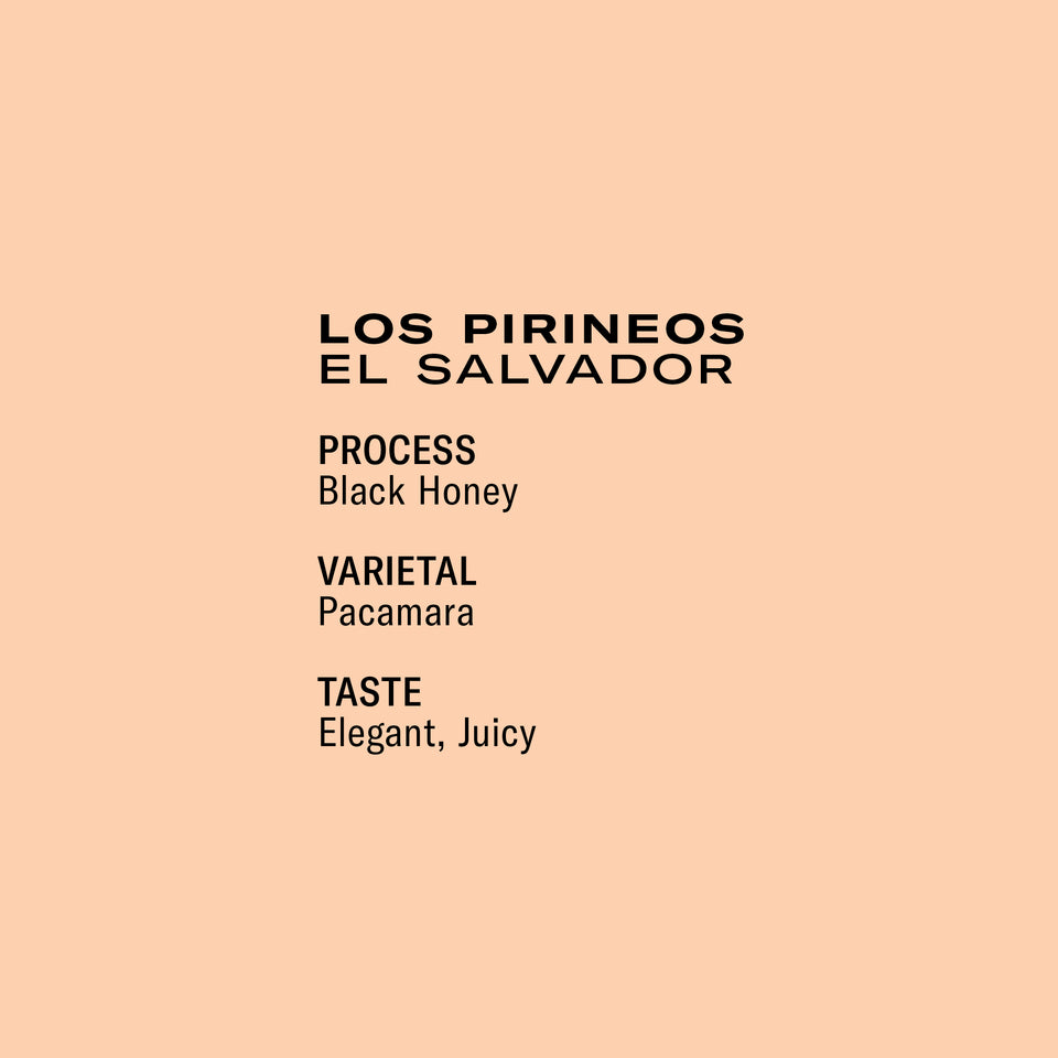 Los Pirineos Black Honey Pacamara